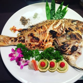 Tilapia