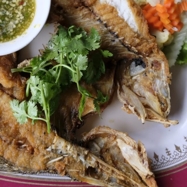 Red Snapper.